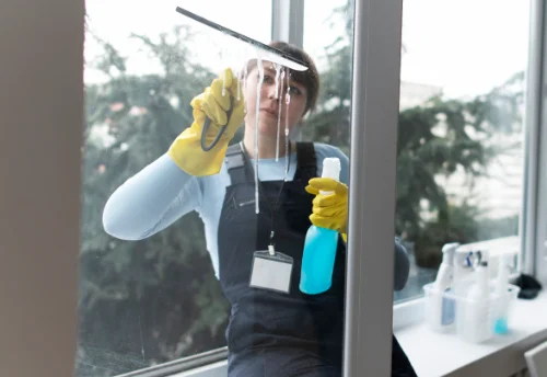 Nettoyage de vitres intérieures et extérieures à Lewarde